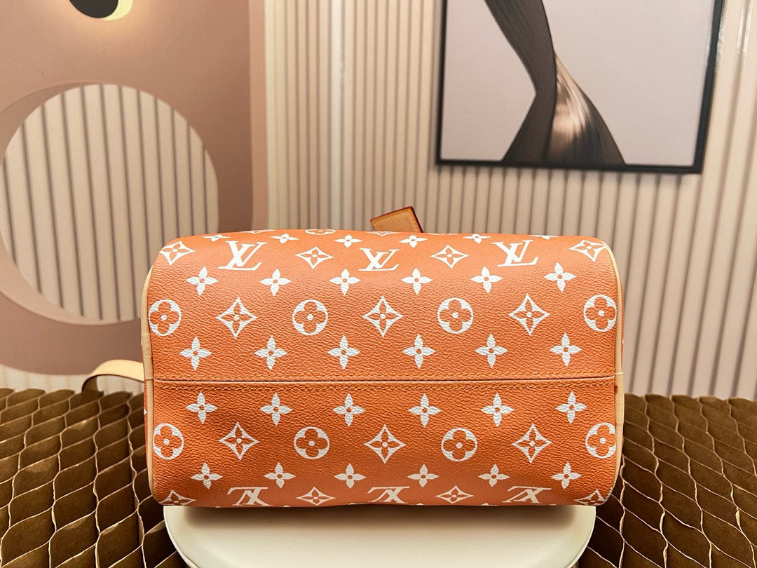 LV WOMENS BAG